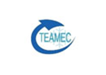 Teamec Logo